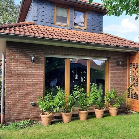 Ferienwohnung Sidro ショルテンス エクステリア 写真